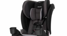 Photo Credit: Evenflo.com