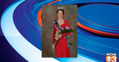 Effingham Co. woman crowned Miss Illinois County Fair Queen