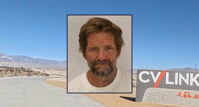 Elderly man out for a walk gets stabbed after he 'made eye contact' with a random stranger on hiking trail