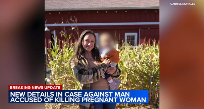 Eliza Morales, pregnant woman killed in Downers Grove, suffered 70 stab wounds; Nedas Revuckas charged: court docs