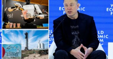 Elon Musk's Greenland jokes fall flat at Davos, unveils plan to sell robots