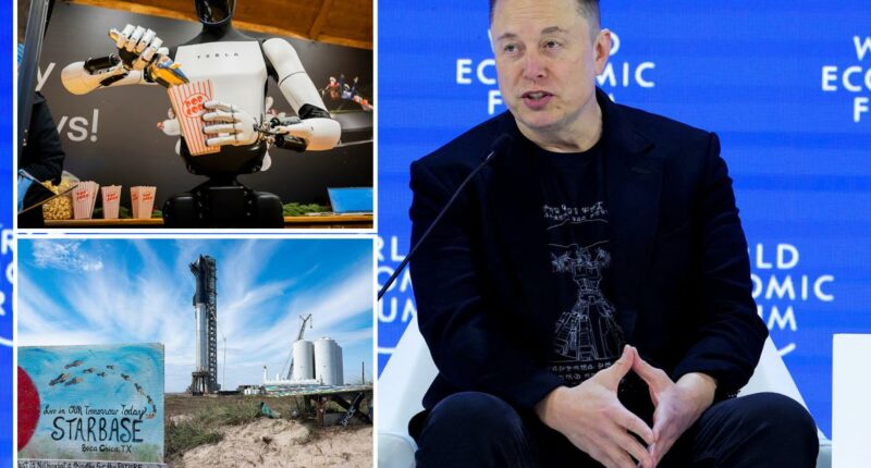 Elon Musk's Greenland jokes fall flat at Davos, unveils plan to sell robots