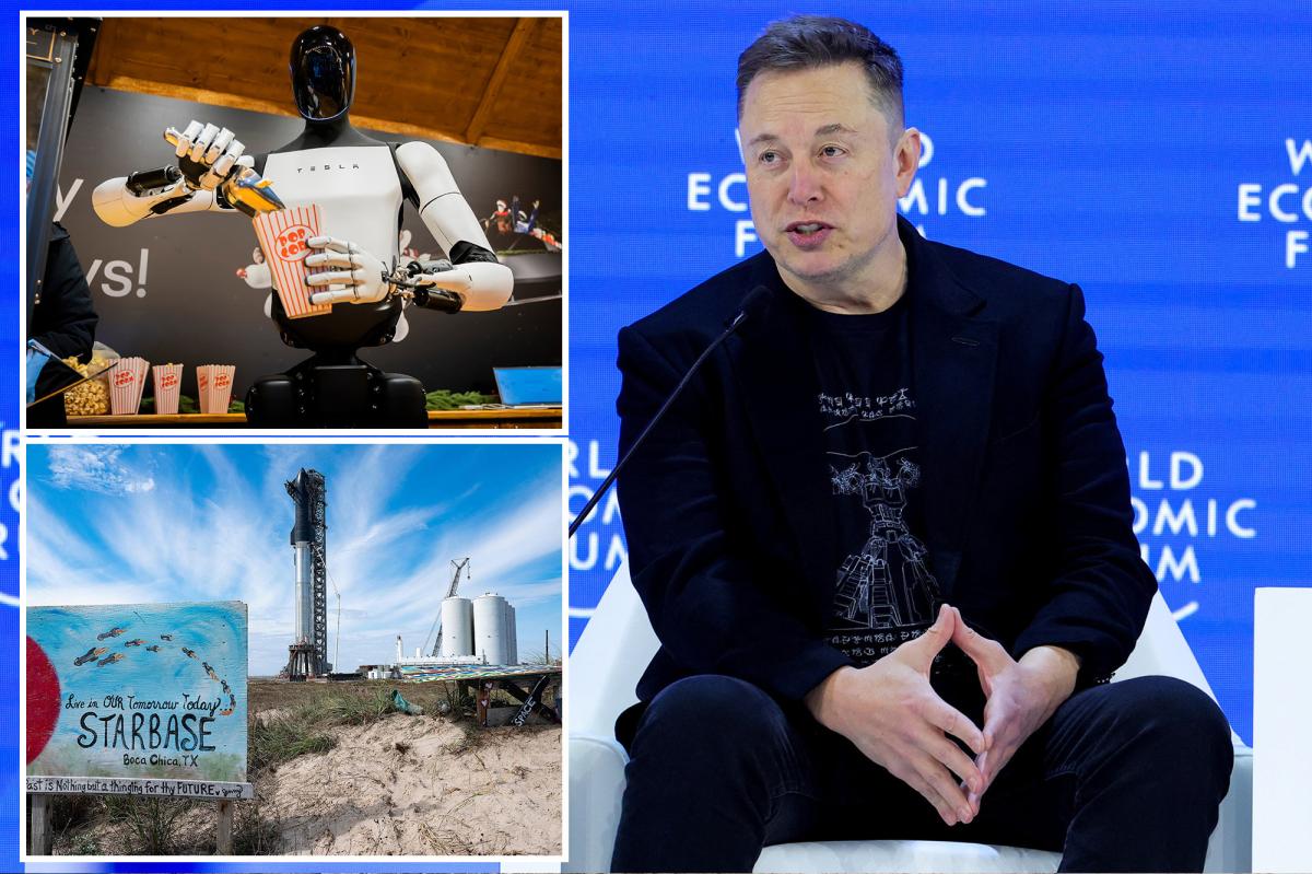 Elon Musk's Greenland jokes fall flat at Davos, unveils plan to sell robots