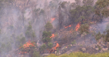 Residents around the Longwood area were urged to take immediate shelter.