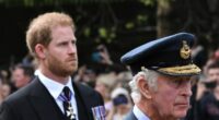 Ex-royal aide slams Prince Harry security blunder which could change everything