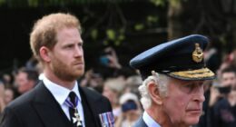 Ex-royal aide slams Prince Harry security blunder which could change everything