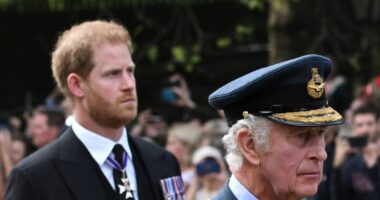 Ex-royal aide slams Prince Harry security blunder which could change everything