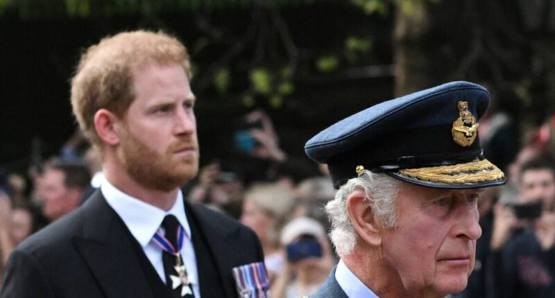 Ex-royal aide slams Prince Harry security blunder which could change everything