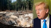 Expert warns of 'extreme violence' in Venezuelan mining as Trump admin eyes mineral reserves