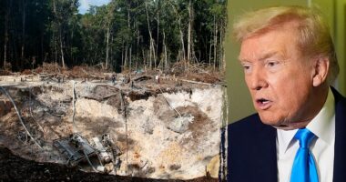 Expert warns of 'extreme violence' in Venezuelan mining as Trump admin eyes mineral reserves
