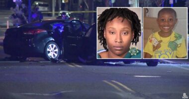 'Extremely' drunk woman drove Hyundai Elantra on wrong side of road with car full of children and crashed into Tesla, killing her son, police say