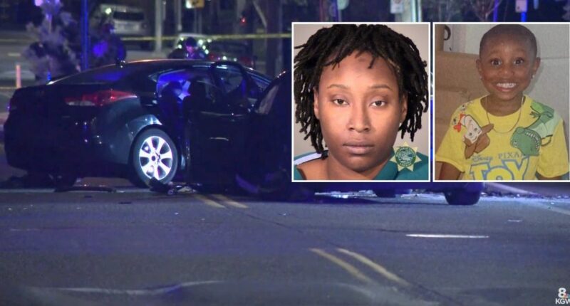 'Extremely' drunk woman drove Hyundai Elantra on wrong side of road with car full of children and crashed into Tesla, killing her son, police say