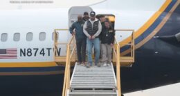 FBI fugitive Ryan Wedding, former Olympic snowboarder turned alleged drug kingpin, to appear in court