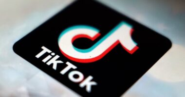 Families sue TikTok over deaths of their children after apparent 'choking challenge'