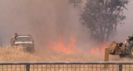 An out-of-control blaze in Longwood has burnt through more than 48,000 hectares.
