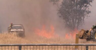 An out-of-control blaze in Longwood has burnt through more than 48,000 hectares.