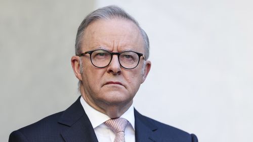 Prime Minister Anthony Albanese's reforms will be voted on next week.