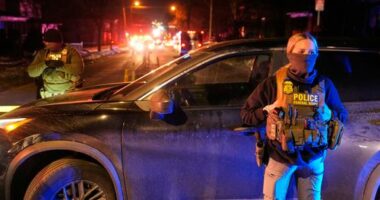Federal immigration officers at the scene of a reported shooting Wednesday, Jan. 14, 2026, in Minneapolis. (AP Photo/John Locher)