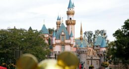 Fight breaks out in line for Indiana Jones ride at Disneyland, police say