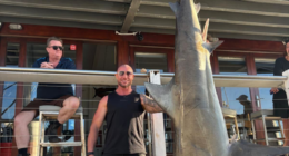 Fishermen snare 150kg bull shark in Sydney Harbour