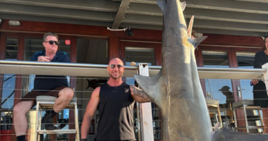 Fishermen snare 150kg bull shark in Sydney Harbour