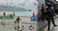 Five severed heads found hanging on Ecuador beach amid escalating gang clashes