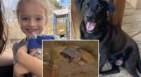 Florida boy Johnathan Boley found dead after he went missing with his dog in Alabama on New Year's Eve