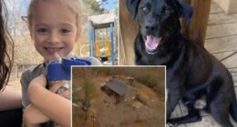 Florida boy Johnathan Boley found dead after he went missing with his dog in Alabama on New Year's Eve