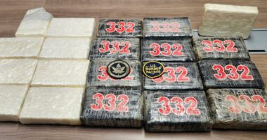 Florida charter boat captain arrested, allegedly tried to sell cocaine he found at sea