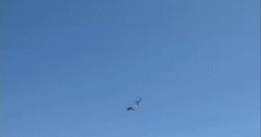 Florida paraglider survives 500-foot plunge into ocean