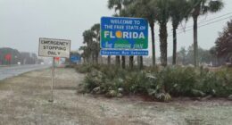 Florida snow 2026: Here are photos, videos capturing snowfall across the panhandle