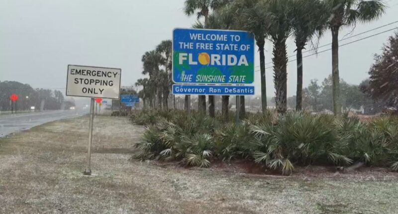 Florida snow 2026: Here are photos, videos capturing snowfall across the panhandle