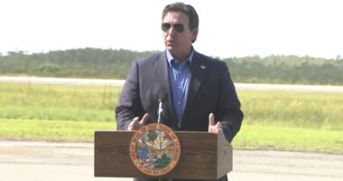 Florida's top officials say partnership with ICE resulted in over 10,000 arrests