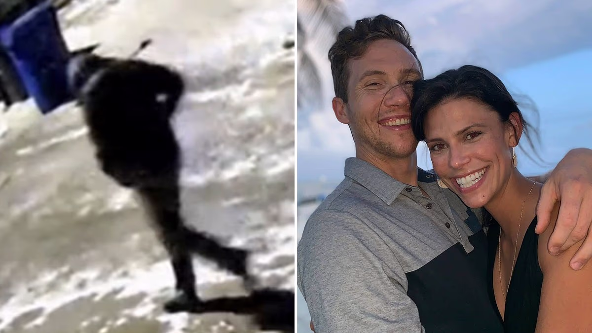 Footage shows 'person of interest' in killing of Ohio dentist and wife