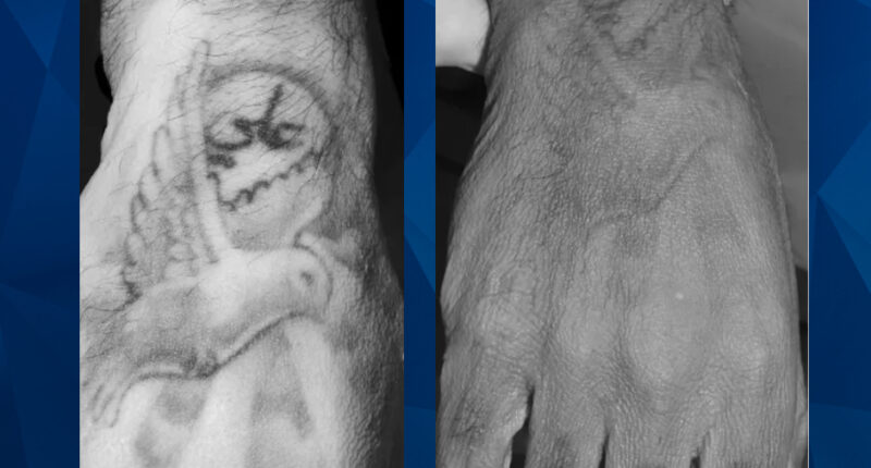 Fourth Body Found in City’s Bayou in 2 Weeks, Sparking More Serial Killer Claims