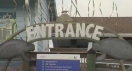 Freezing temperatures surprise locals and visitors in the Tampa Bay area