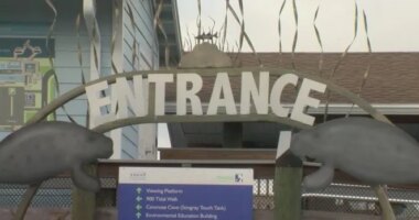 Freezing temperatures surprise locals and visitors in the Tampa Bay area