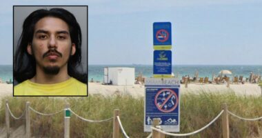 'From ear to ear': Suspect stabbed man on the beach after he wouldn't give him a cigarette or his cellphone, police say