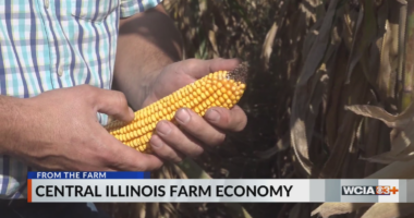From the Farm: Central Illinois farm economy