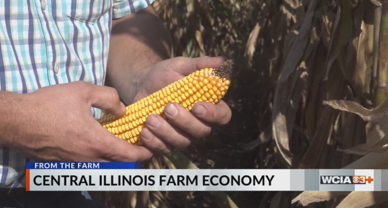 From the Farm: Central Illinois farm economy