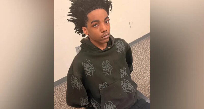 Georgia teen Lequan Stephens arrested after father turns him in following pair of shootings