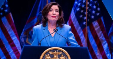 Gov. Hochul’s ‘back to basics’ call in math instruction is further evidence of State Ed's lack of accountability