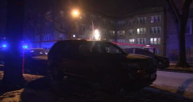 Grand Crossing, Chicago shooting: Police shoot, suspect who shot woman, fired at officers on South Ingleside Avenue, CPD says