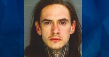 Grave Robber Caught With Skull in Backseat! 100 Skeletal Remains in Home!