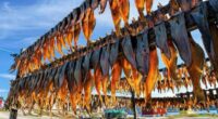 Fish drying in Rodebay, Greenland.