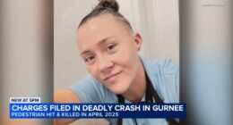 Gurnee pedestrian killed: Javier Contreras-Bulnes charged months after Amber Knowles hit, killed by truck on Delany Road: Police