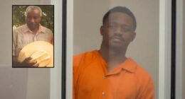 'Hard, like soccer': Man kicked and punched 81-year-old man to death after the victim told him to 'stop yelling' at his girlfriend, authorities say