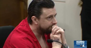 'Haunted … by the smell of cleaning solution': Plumber savagely stabbed woman because she complained to his boss about shoddy work