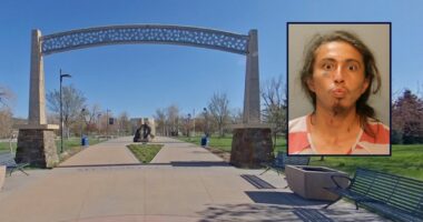 'He decided to kill': Man drowned victim at pond in park because he did not want to 'seem weak' as horrified onlookers watched in broad daylight