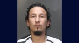 'He was just learning his ABCs': 6-year-old who forgot school take-home folder is whipped with belts by father trying to 'straighten out' his son